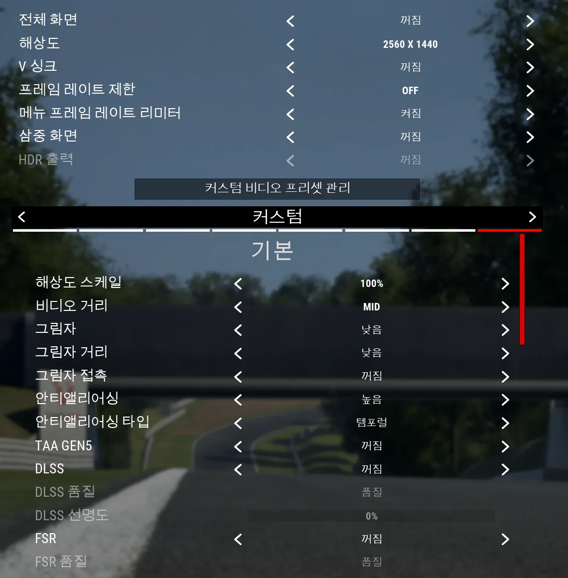 ACC 옵션 / 비디오 화면 위쪽. 전체 화면·해상도·V 싱크, 프리셋 줄 '커스텀', 기본 항목 해상도 스케일 100%, 그림자 낮음, 그림자 거리 낮음, 그림자 접촉 꺼짐, 안티앨리어싱, DLSS·FSR 꺼짐